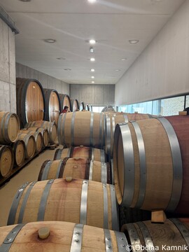 Seja Združenja zgodovinskih mest v Slovenskih Konjicah (4)